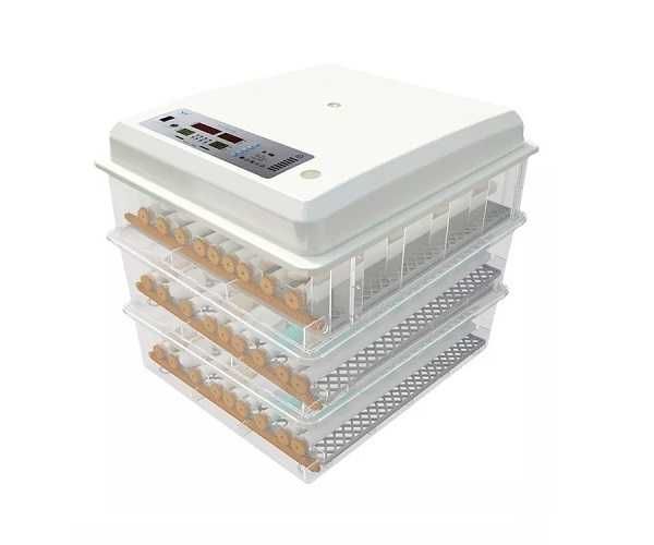 Aвтоматичен инкубатор MS-176 кокоши яйца (12V/220V) Безплатна доставка