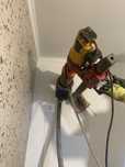 Servicii carotare