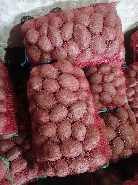 Vand cartofi rosu sí alb