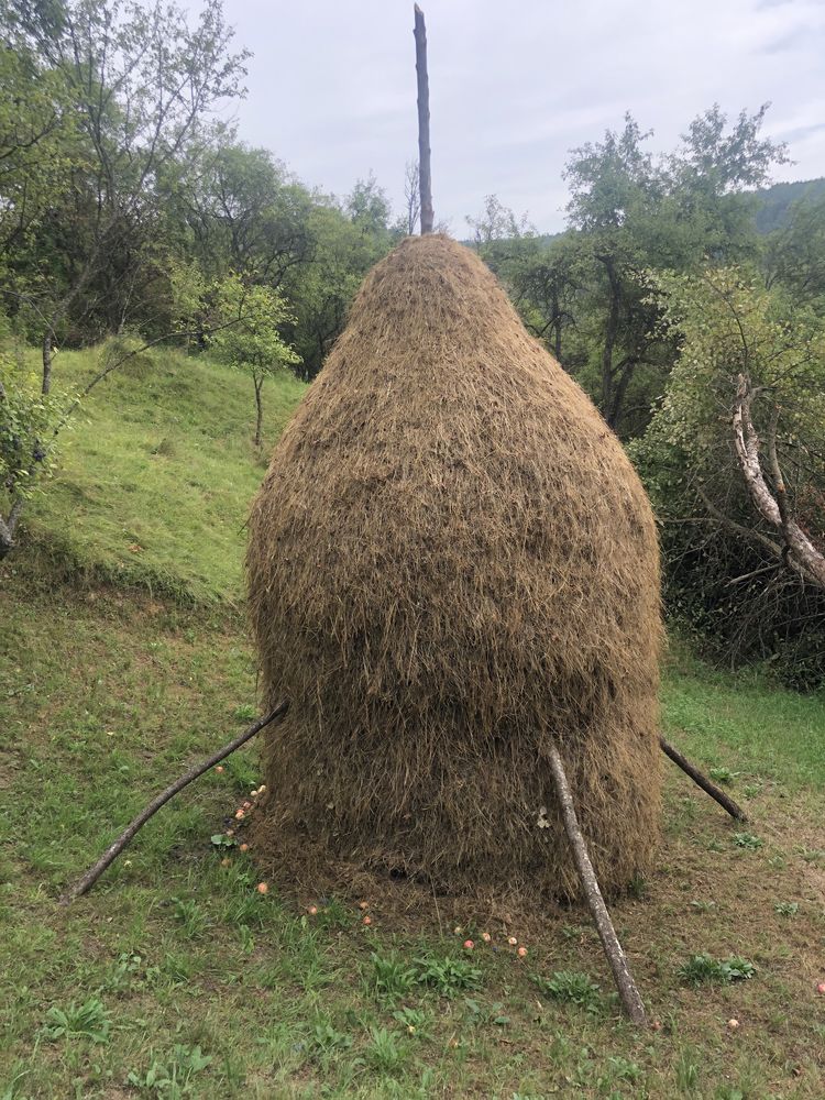 Vand fân mai multe clăi