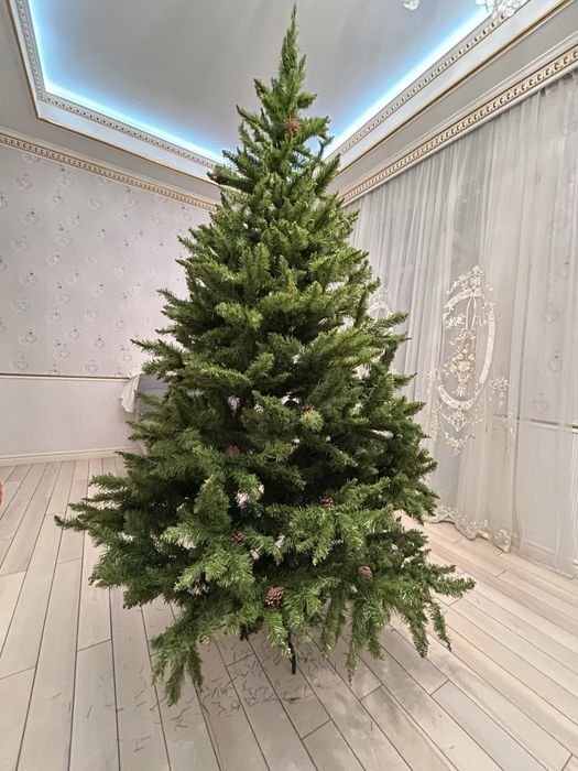 Ёлка 250 см в отличном  состоянии