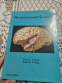 Carte neuro anatomie clinică