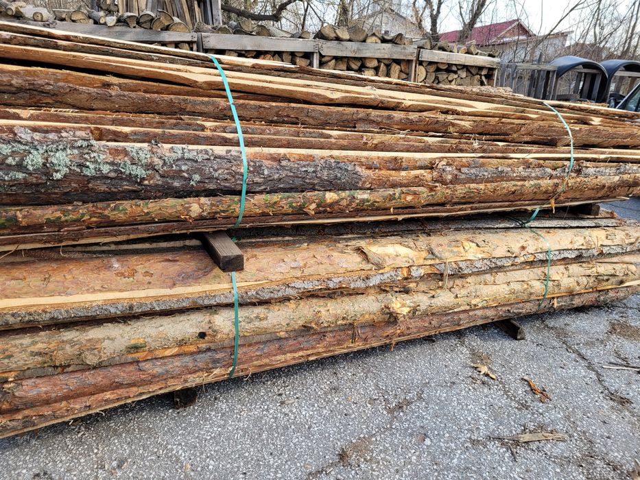 Иглолистни изрезки