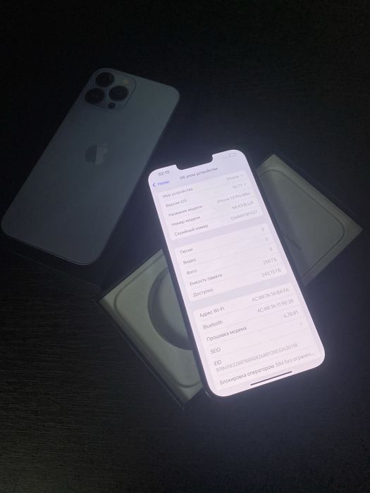 iPhone 13 Pro Max 256 gb