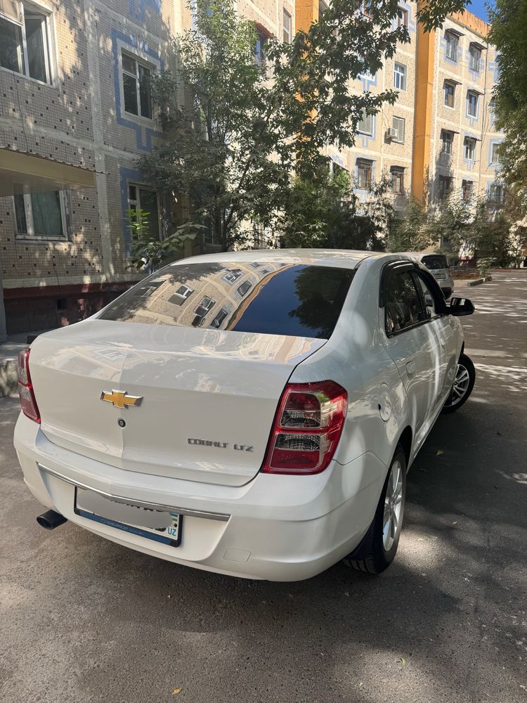 Cobalt Krediti Bor 3 000$