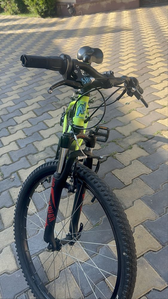 Vand rockrider st500 custom