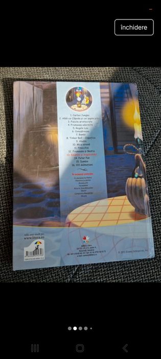 Doamna si vagabondul