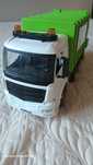 Camion de gunoi..