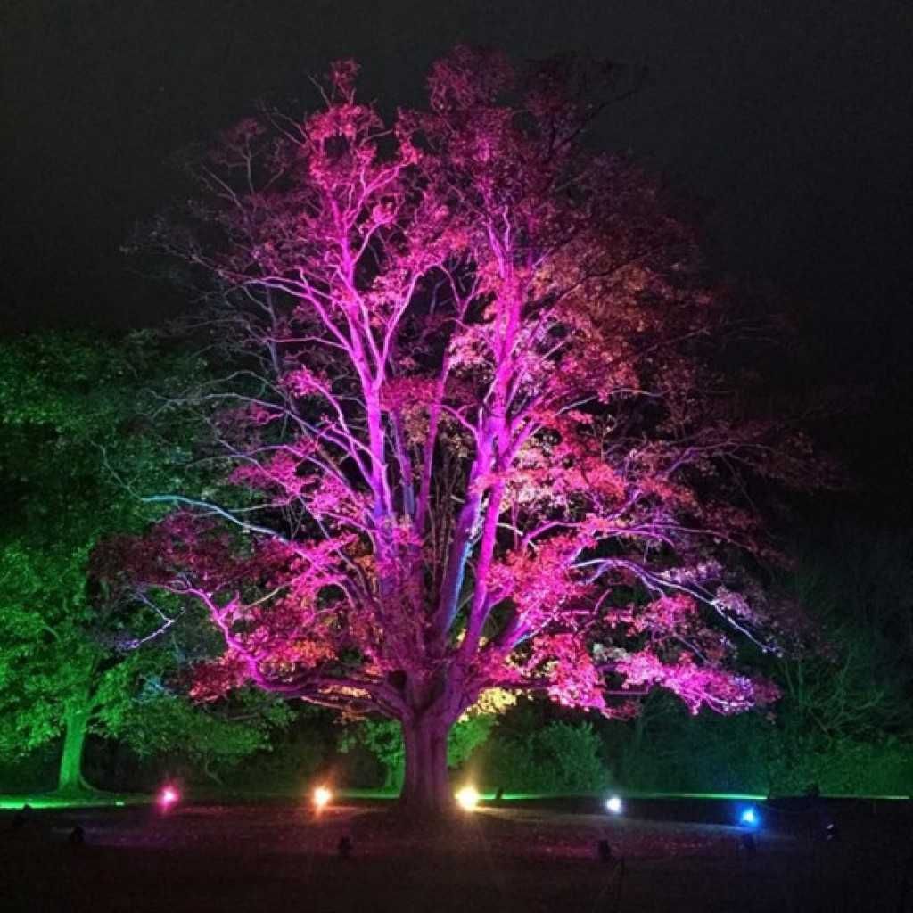 Интелигентен LED прожектор с дист., 100W, разл. светлини (multicolor)