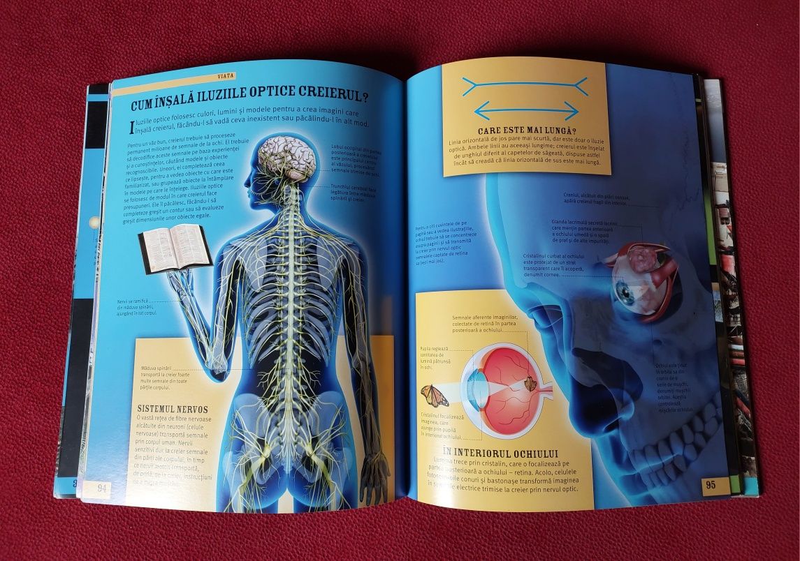 Cum funcționează lumea. Enciclopedia copilului deștept