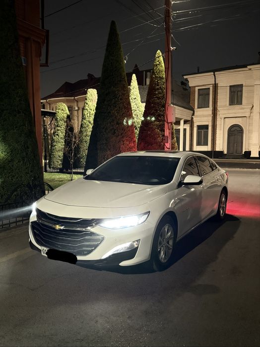 Malibu 2 Preimer 2020