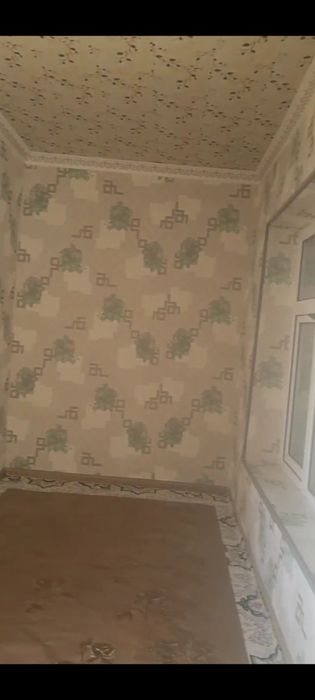 Buxoro shahrida 3 xonali uy ijaraga beriladi , hamma sharoitlari bor.