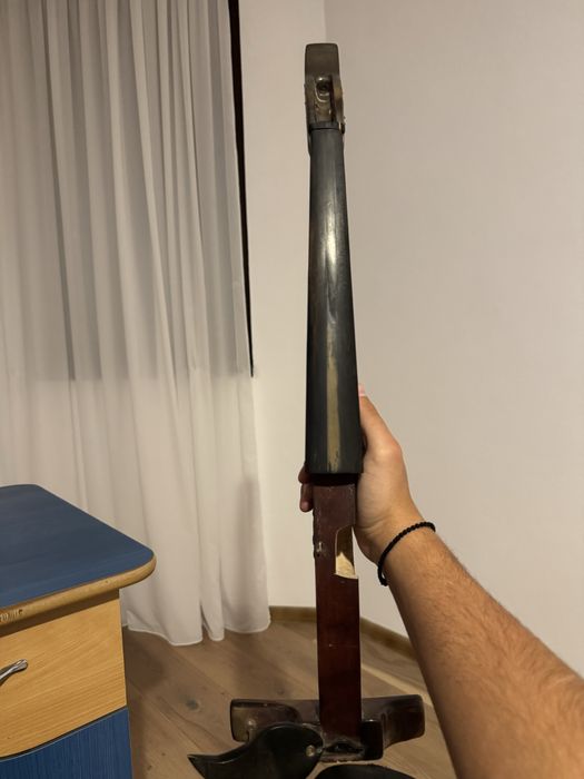 Lemn de vioara cu goarna unicat