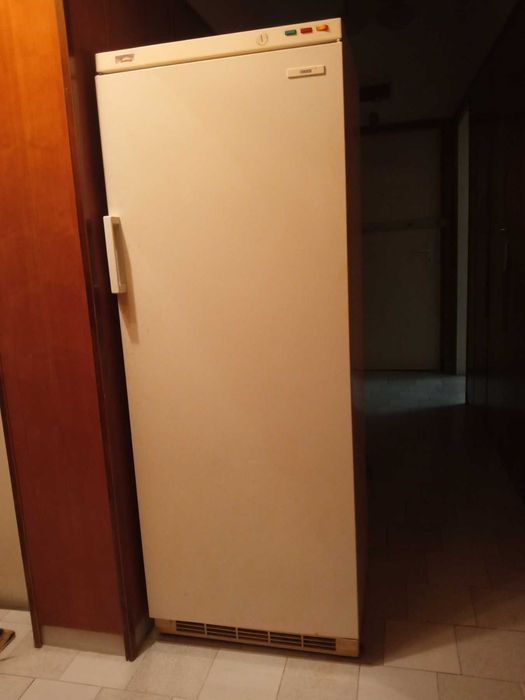 Продавам голям вертикален фризер Зануси