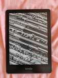 Продаётся kindle paperwhite 2021 16gb электронная книга