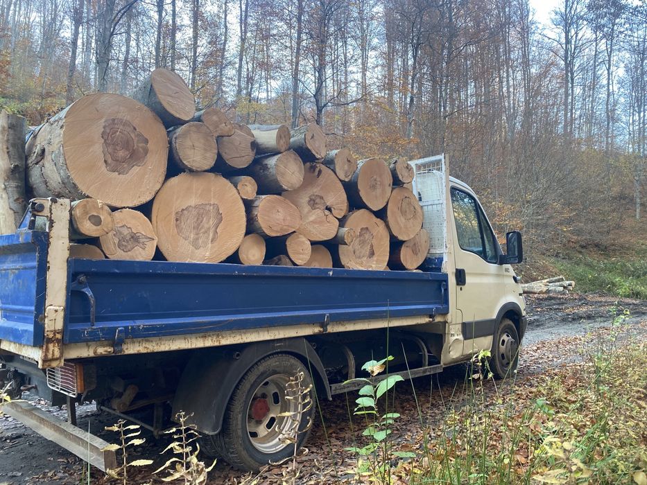 Lemne de foc 2000 de lei tot judetul Arad