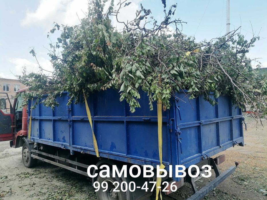 Спил деревьев  любой сложности