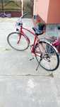 Vând bicicleta bărbați 300 de lei