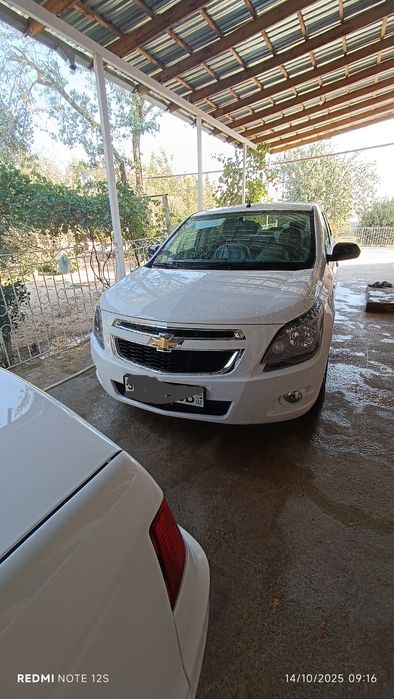 Masla Cobalt Sotiladi