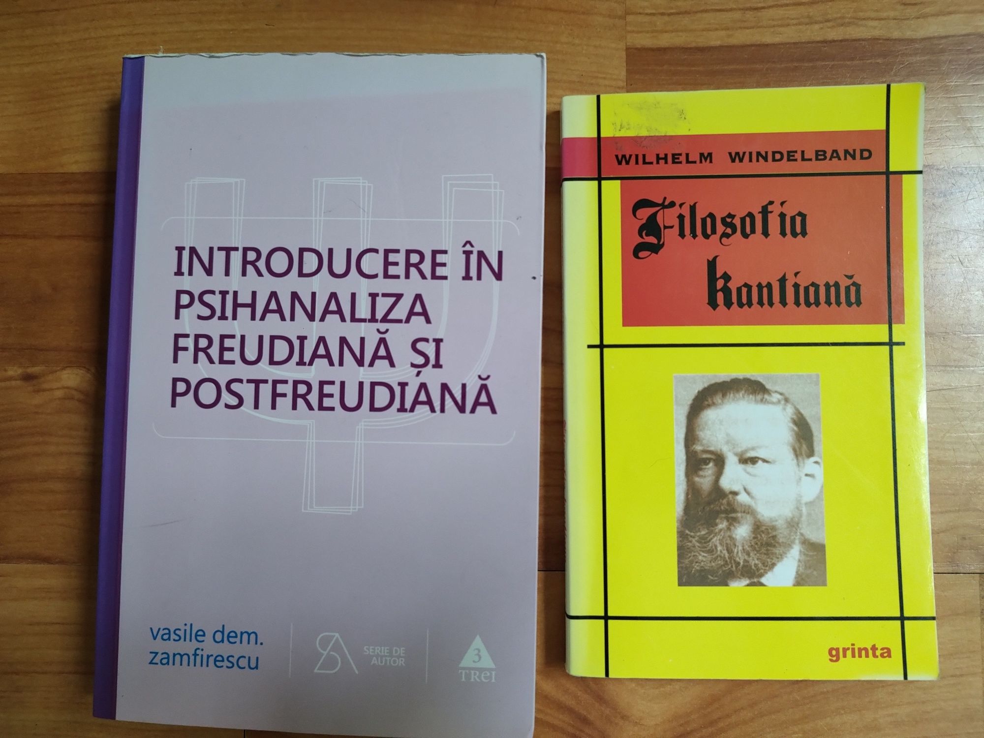 ,,Introducere în Psihanaliza Freudiană..."+Filosofia Kantiană