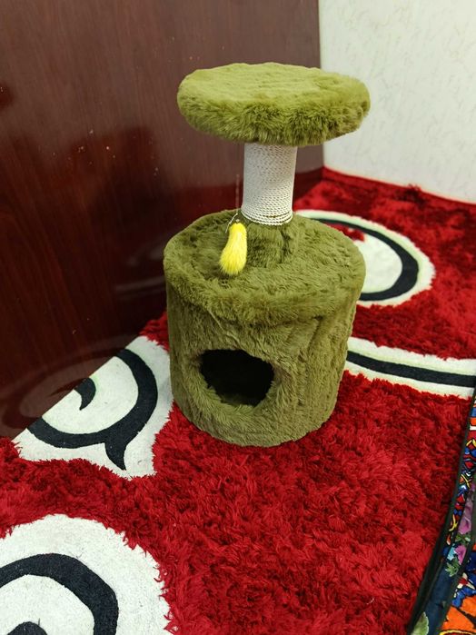 Домик для котят для кошек
