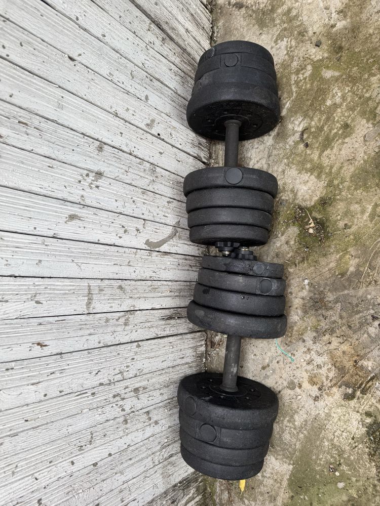 Gantere 20 kg ptr sala