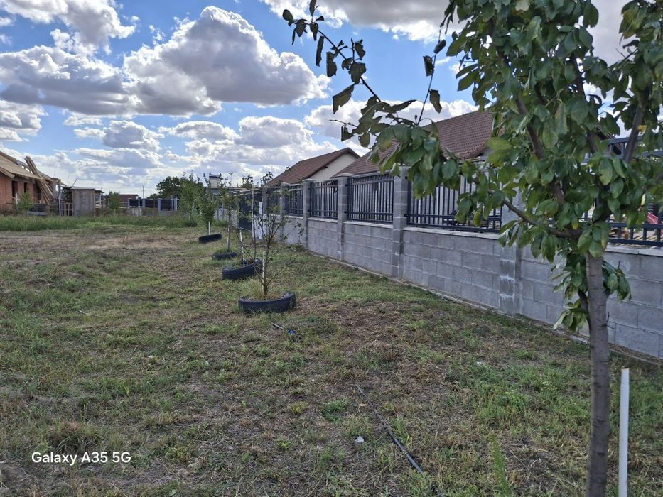 Vand 1403 mp teren cu Casa la Rosu cu Posibilitate Extindere
