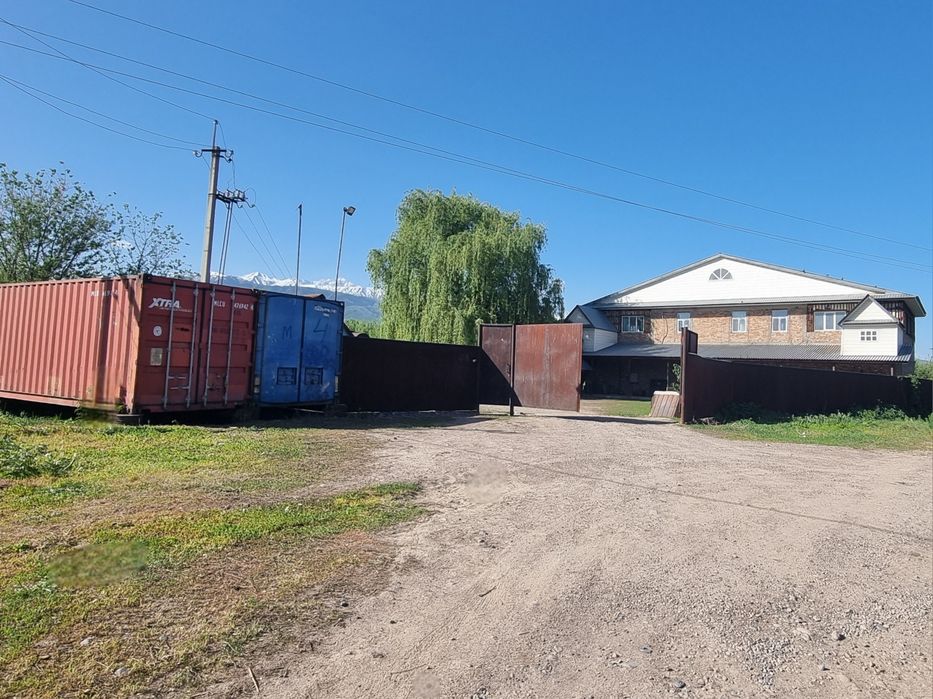 Яблоневый сад...