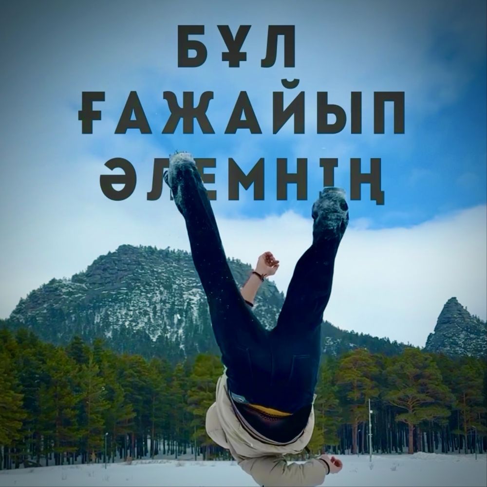 Услуга мобилографа – проф съёмка и монтаж для идеального результата