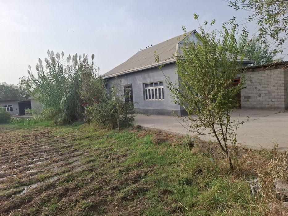 Shoʻrchi tumani guzallik maxallasi