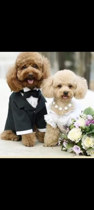 Инструктор вязки