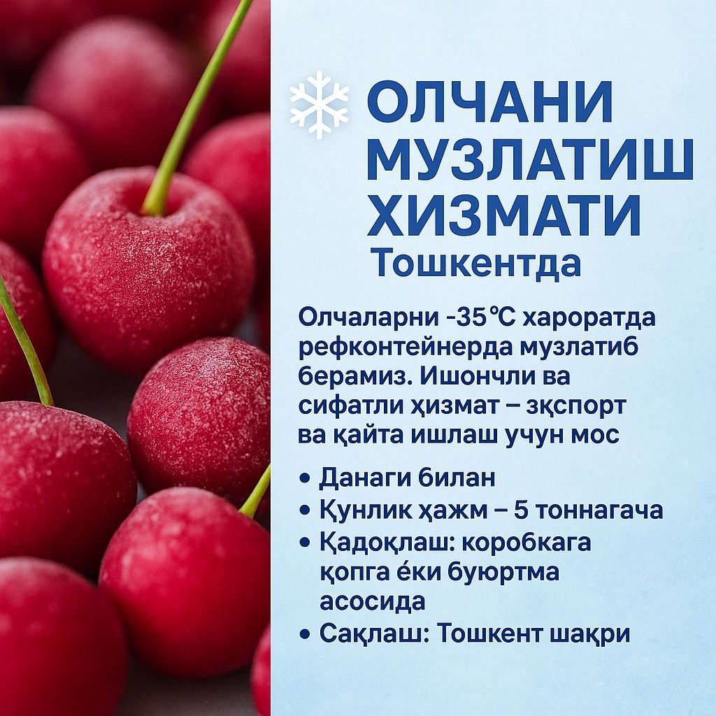 олчани музлатиш хизмати / услуга замарожки вишни 

Олчаларни -35°C ҳар