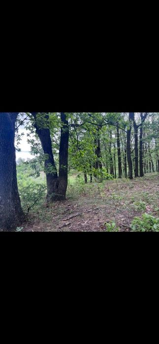 Leamna de sus suprafață de 500+2500