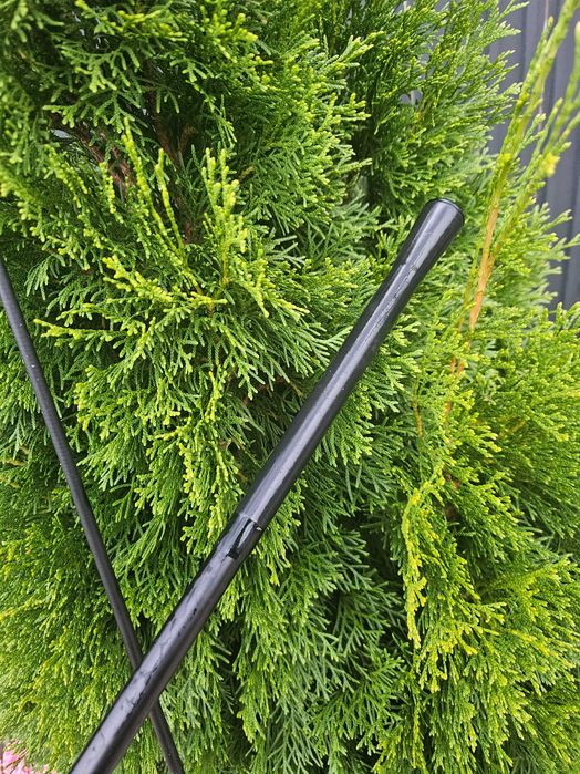 Lansete Crap Fl Ultra team carp 3.60m 3.75lbs 2 segmente (3lansete)