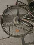 Bicicleta viscontea