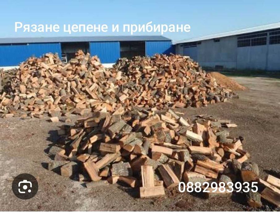 Бързо коректно и на време