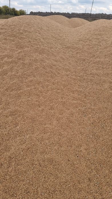 Зерно 3 класса по 40 кг мешках