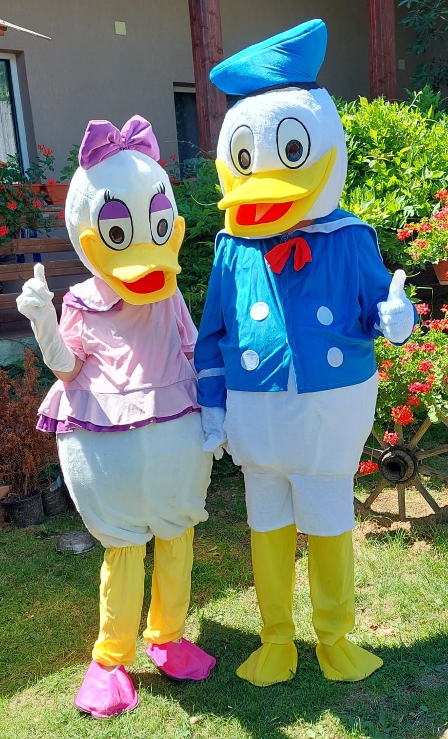 Mascote costume Donald si Daisy, Tom si Jerry