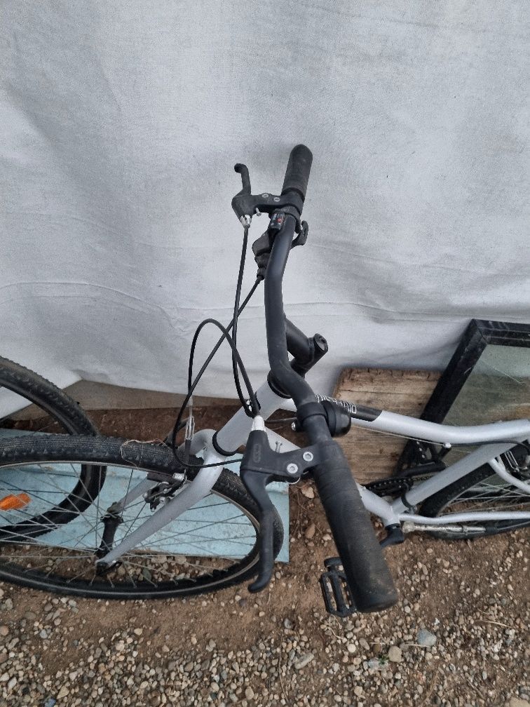 Bicicleta oras riverside 120
