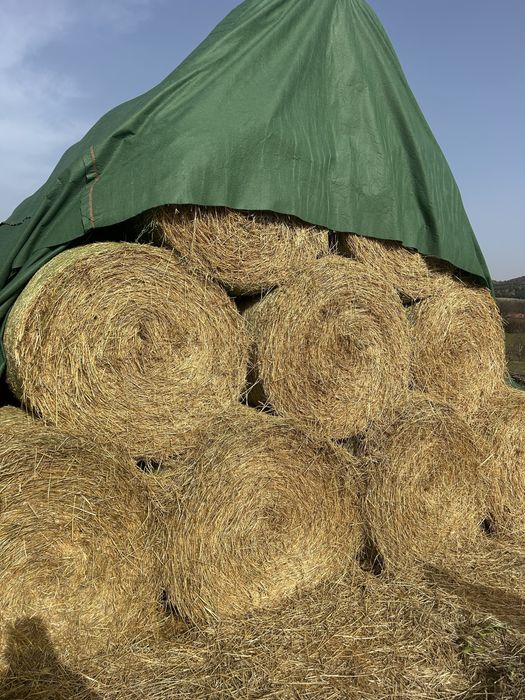 Слама за животни