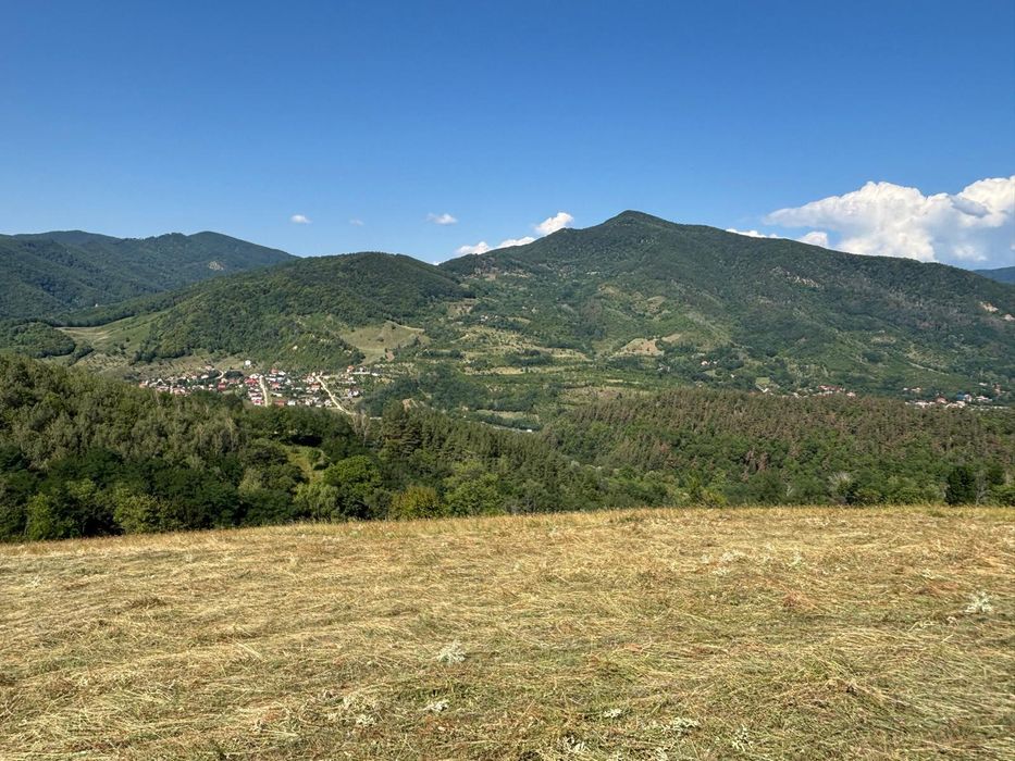 Teren extravilan de vânzare in loc. Nehoiu