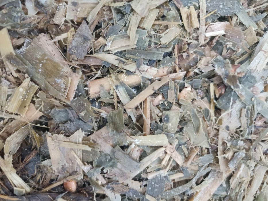 Продам силас 70 тонн