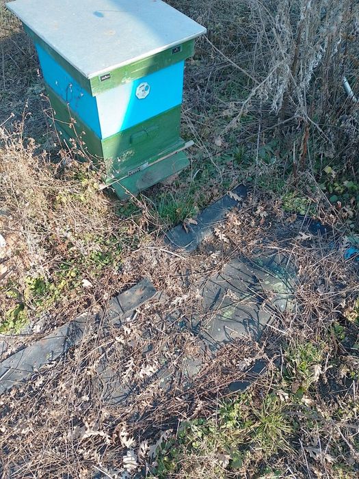 Пчелни празни кошери