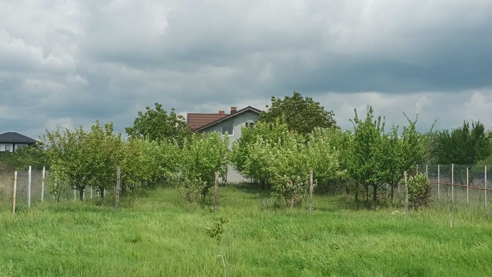 Moara Vlasiei , Casa cu teren 4250 m2