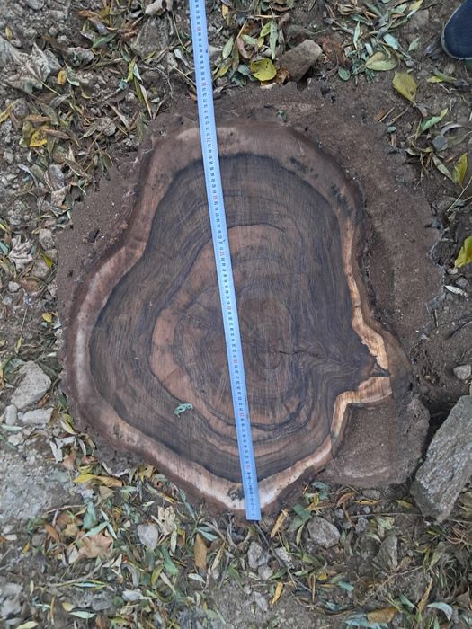 Rondele nuc. PRET SUPER BUN