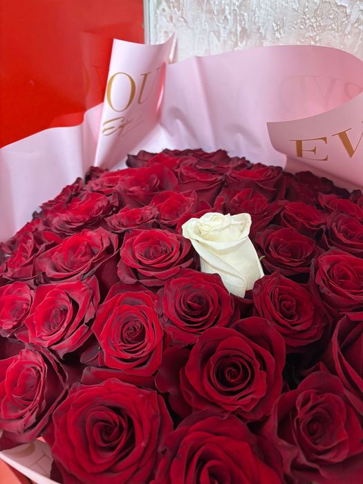 Продам розы 51-шт