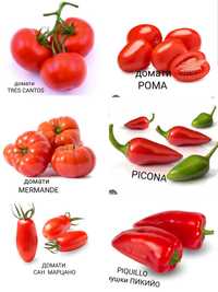 Комплект от 6 вида семена на зеленчуци от Испания
