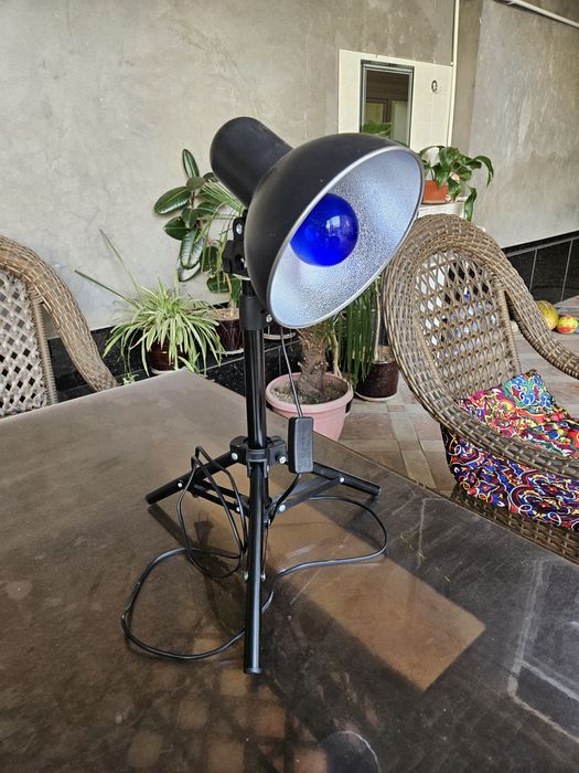 Foto lampa sotiladi yengi