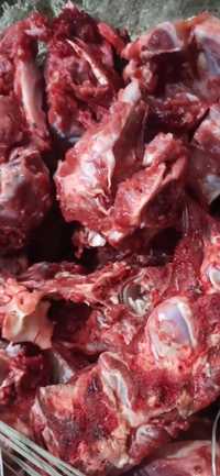 Свежие мясные косточки говядин шейные позвонки, грудина, ребра, мослы.