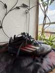 Adidas f50 Elite